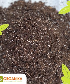 SUSTRATO SUCULENTAS 40 LT