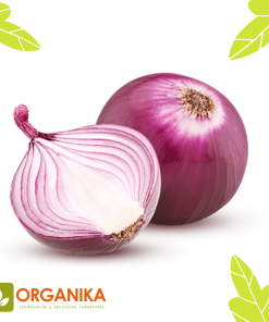 SEMILLAS DE CEBOLLA MORADA