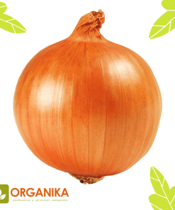 SEMILLAS DE CEBOLLA TEXAS