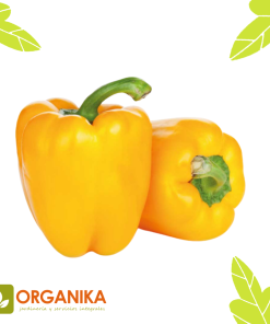 SEMILLAS DE PIMENTON AMARILLO