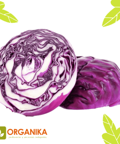 SEMILLAS DE REPOLLO MORADO