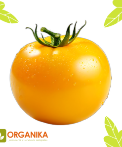 SEMILLAS DE TOMATE AMARILLO