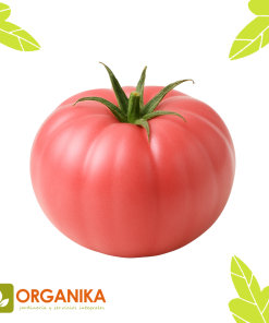 SEMILLAS DE TOMATE ROSADO