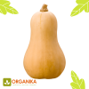 SEMILLAS DE ZAPALLO BUTTERNUT