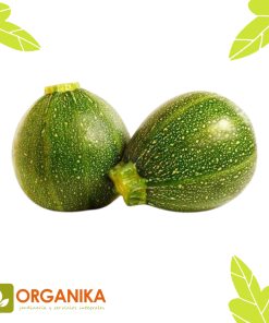 SEMILLAS DE ZAPALLO ITALIANO REDONDO